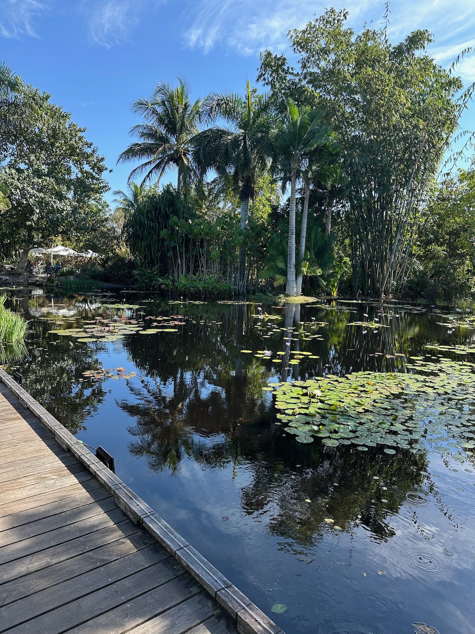 Florida, USA